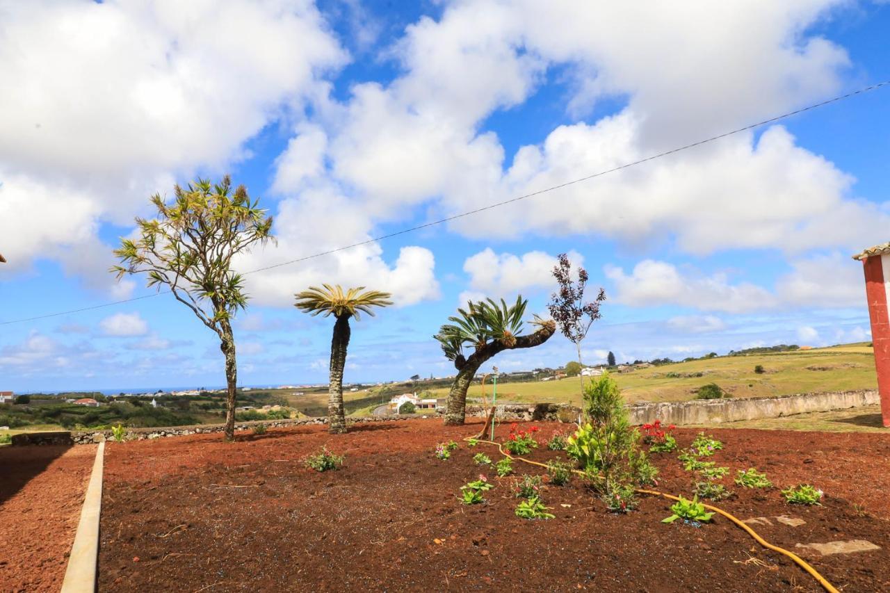 Quinta Do Falcao Almagreira  Buitenkant foto
